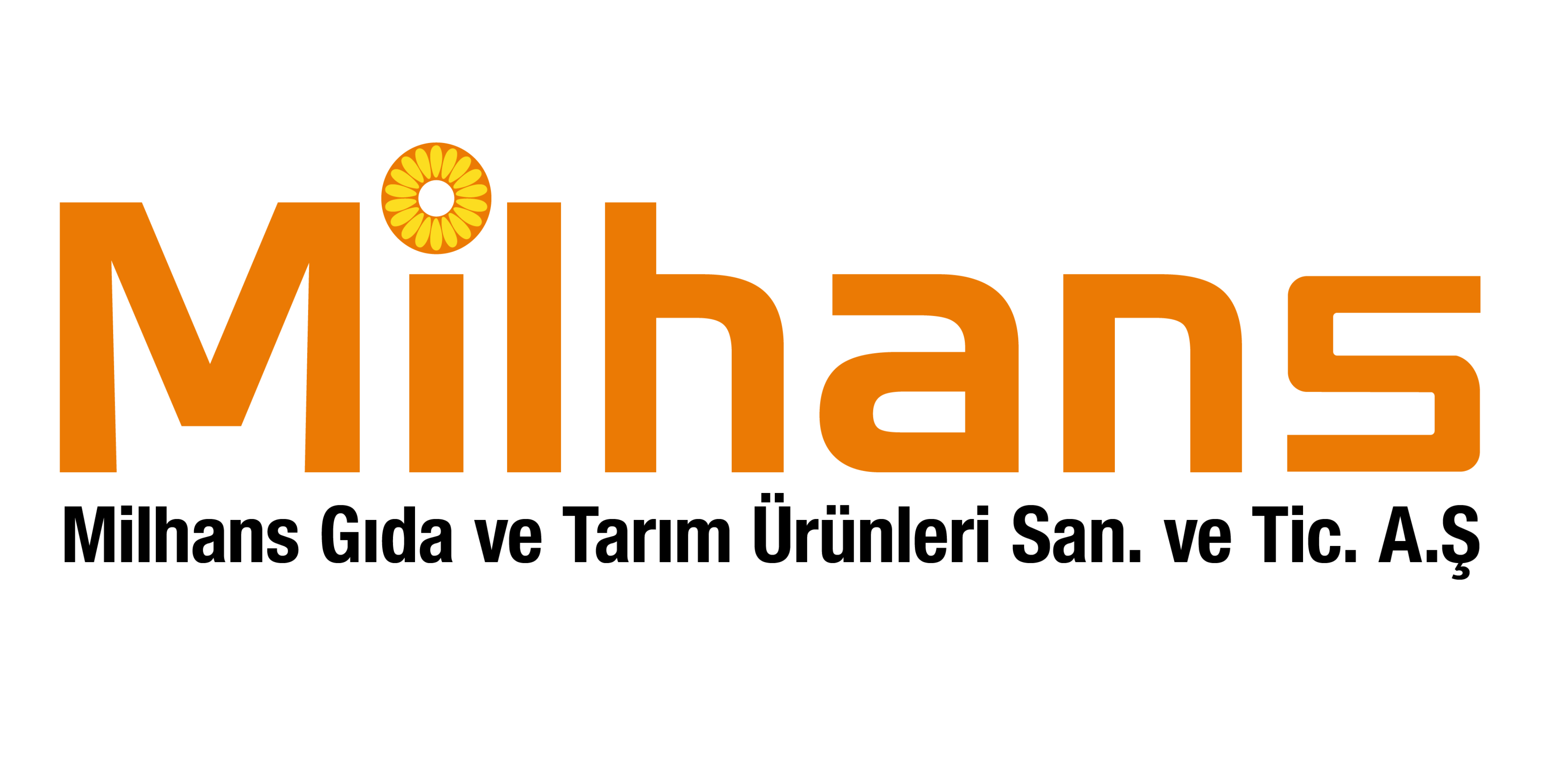 Katılımcı Firma